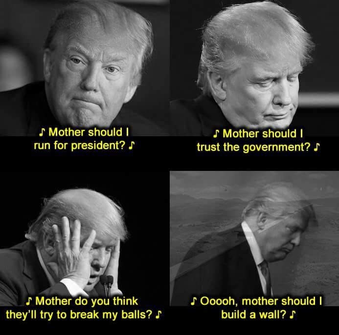 memes - mother do you think they ll drop - Mother should I run for president? Mother should I trust the government? S Mother do you think they'll try to break my balls? Ooooh, mother should I build a wall?