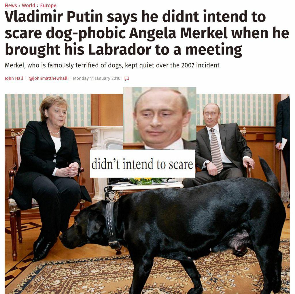 memes - didn t intend to scare - News > World > Europe Vladimir Putin says he didnt intend to scare dogphobic Angela Merkel when he brought his Labrador to a meeting Merkel, who is famously terrified of dogs, kept quiet over the 2007 incident John Hall I 