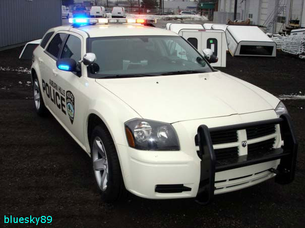 car police pictures
