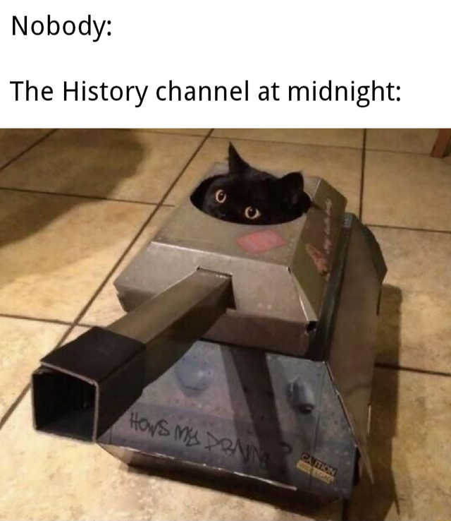 history channel after midnight meme - cat tank meme - Nobody The History channel at midnight Hows Mes Do