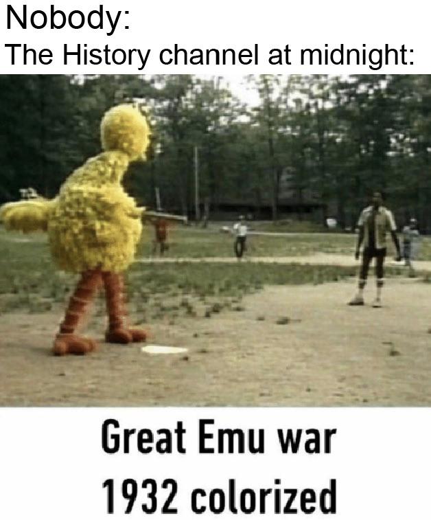 history channel after midnight meme - dark big bird memes - Nobody The History channel at midnight Great Emu war 1932 colorized