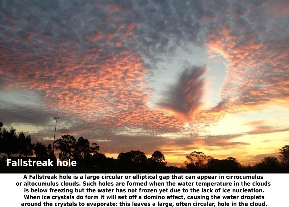 Ridiculously Awesome Natural Phenomena