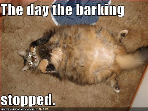 The day the barking stopped