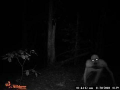 This was sent to me by a friend saying it was from his Trail Cam.  It looks like a prank but I can't find this anywhere on the internet so does anyone know the origins of it or is it original?