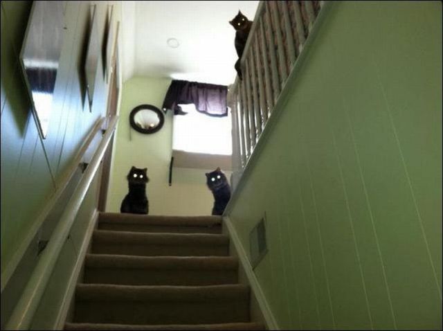 Don't dare go up those stairs!