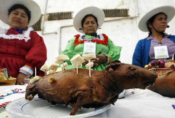 peru guinea pig festival