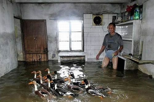 flooded house funny