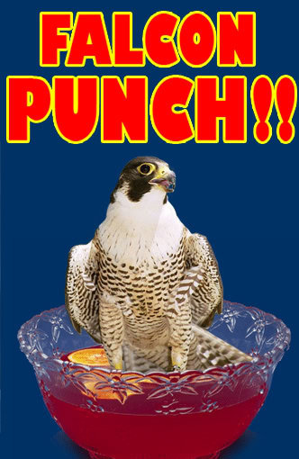 falcon in punch - Falcon Punch