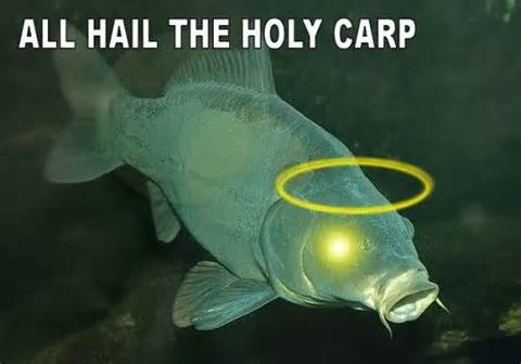 All Hail The Holy Carp
