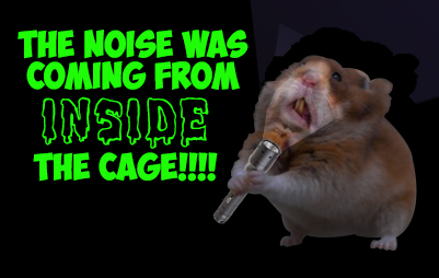 This is what your hamsters do when you go to sleep...
