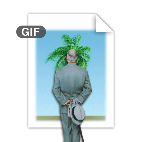 The GIF Connoisseur