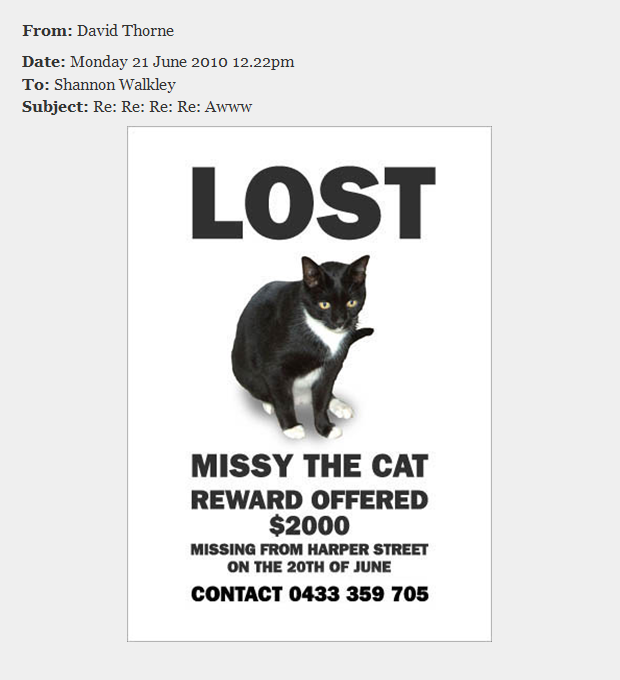 Lost Cat Email Thread