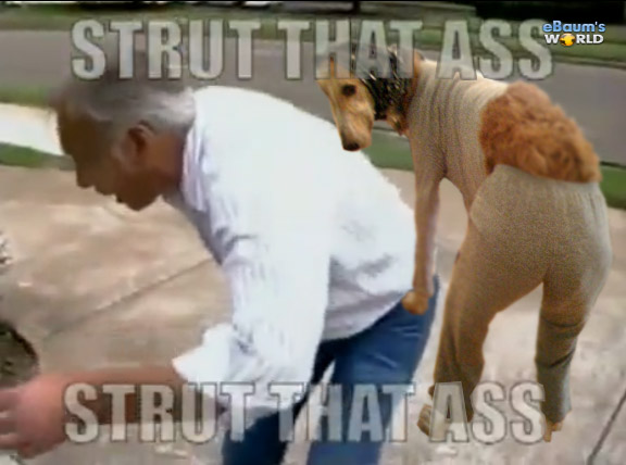 strut that ass! strut that ass! struttin that ass!