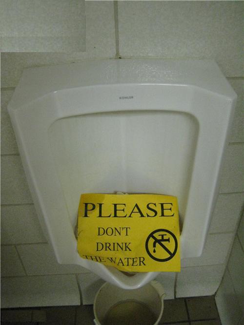 please dont drink the piss