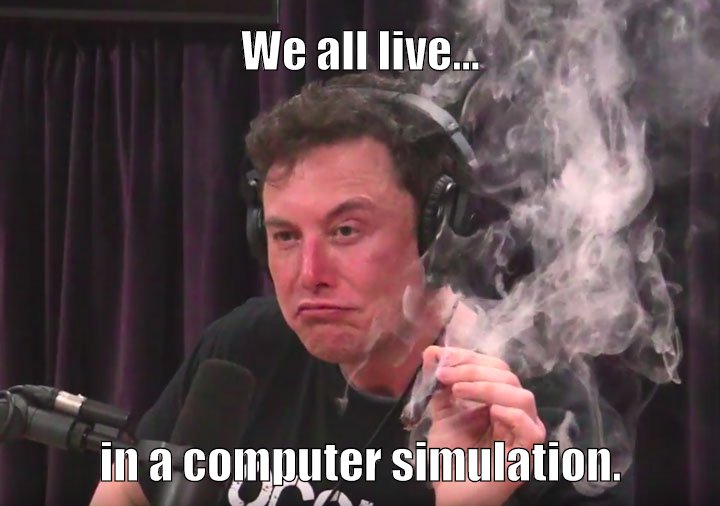 Musk hits blunt and has a profound moment.
