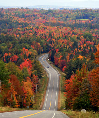Cool Places to Drive In Fall
