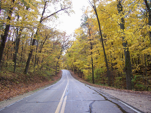 Cool Places to Drive In Fall