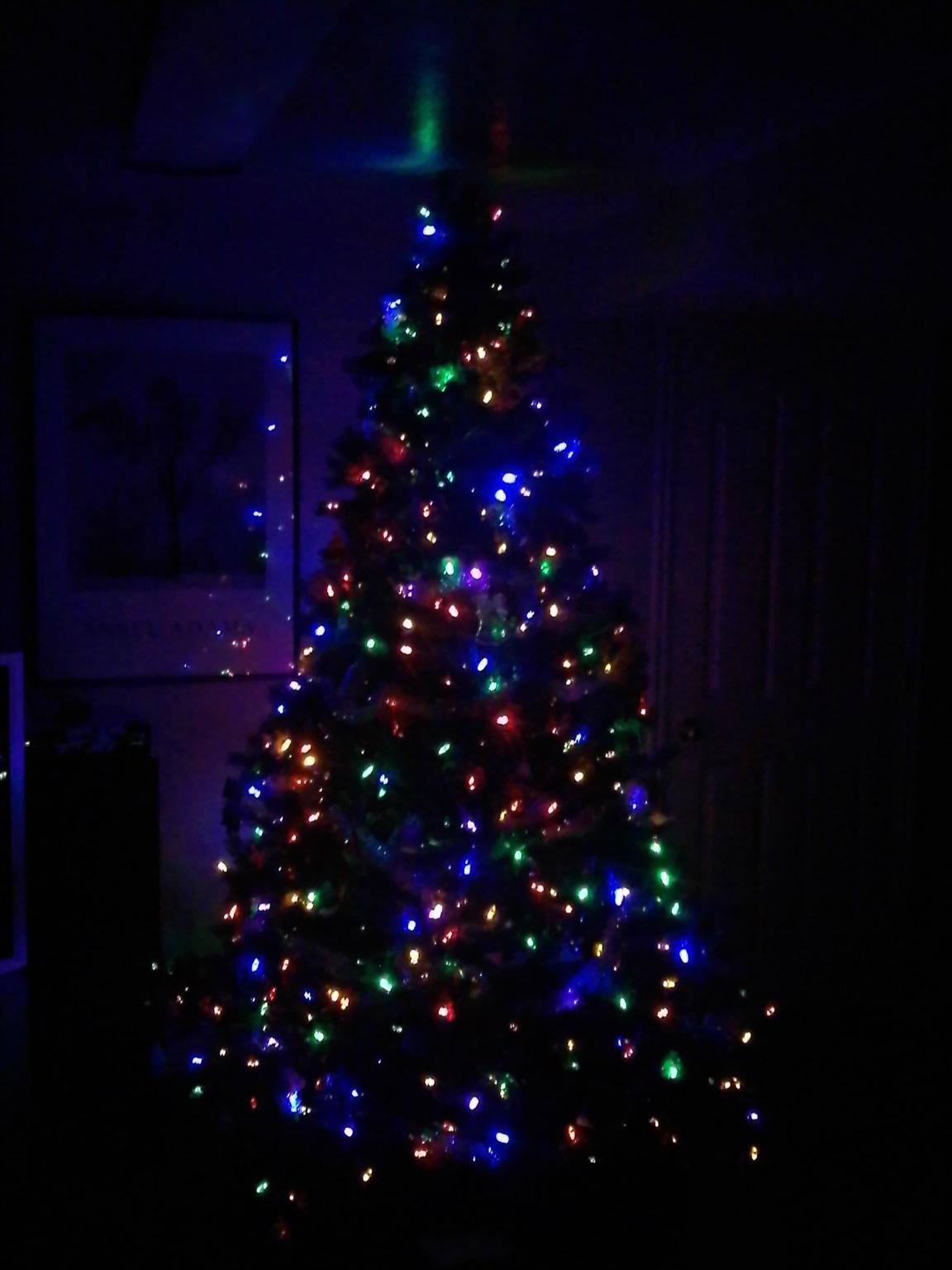 Christmas tree in the MICRKR  house in 2010...hope this gets you into the Christmas Season!!!!