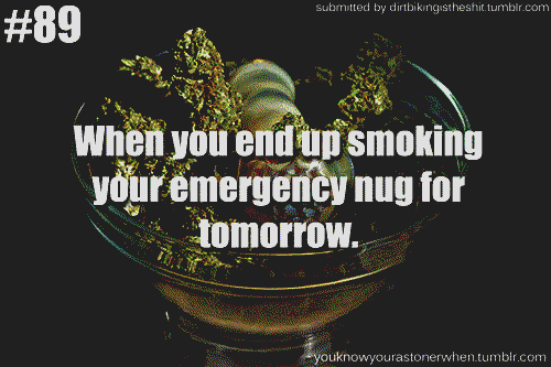You know you're a stoner when..