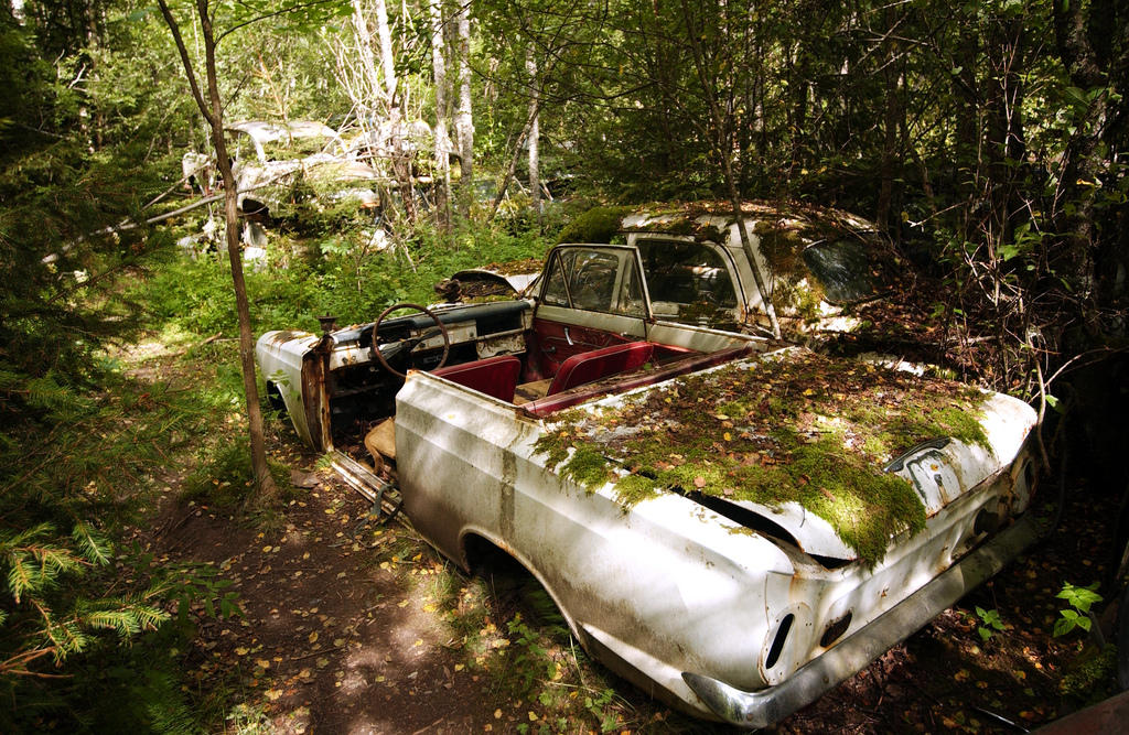 Ghostly Swedish Junkyard