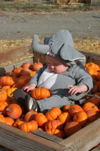 25 Asskicking Kids Halloween Costumes