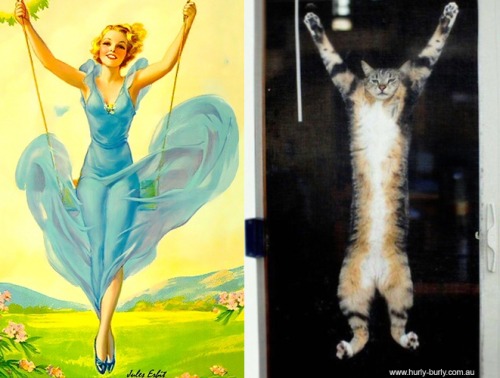 Cats That Look Like Pinup Girls