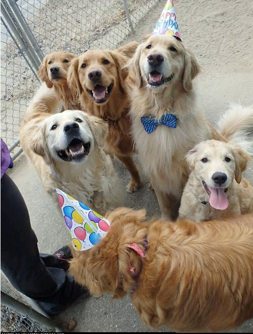 16 Animals Having The Best Day Ever