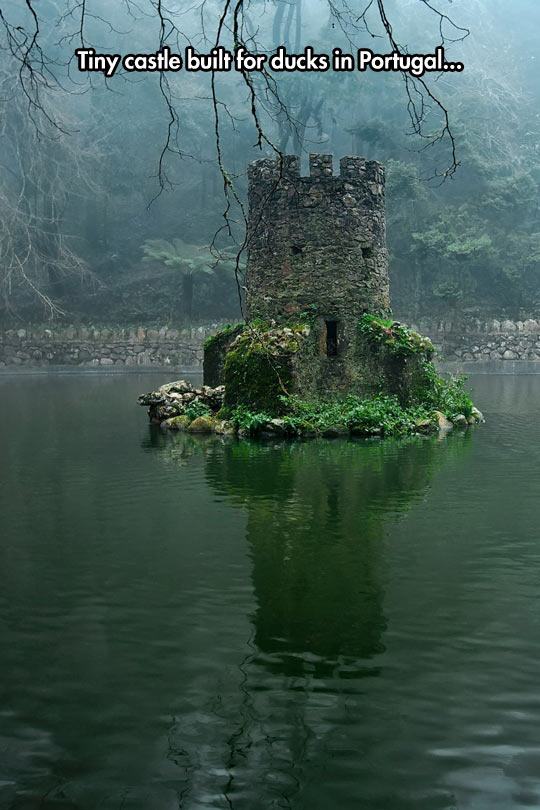 castle in the middle of a lake - Tiny castle built for ducks in Portugal..