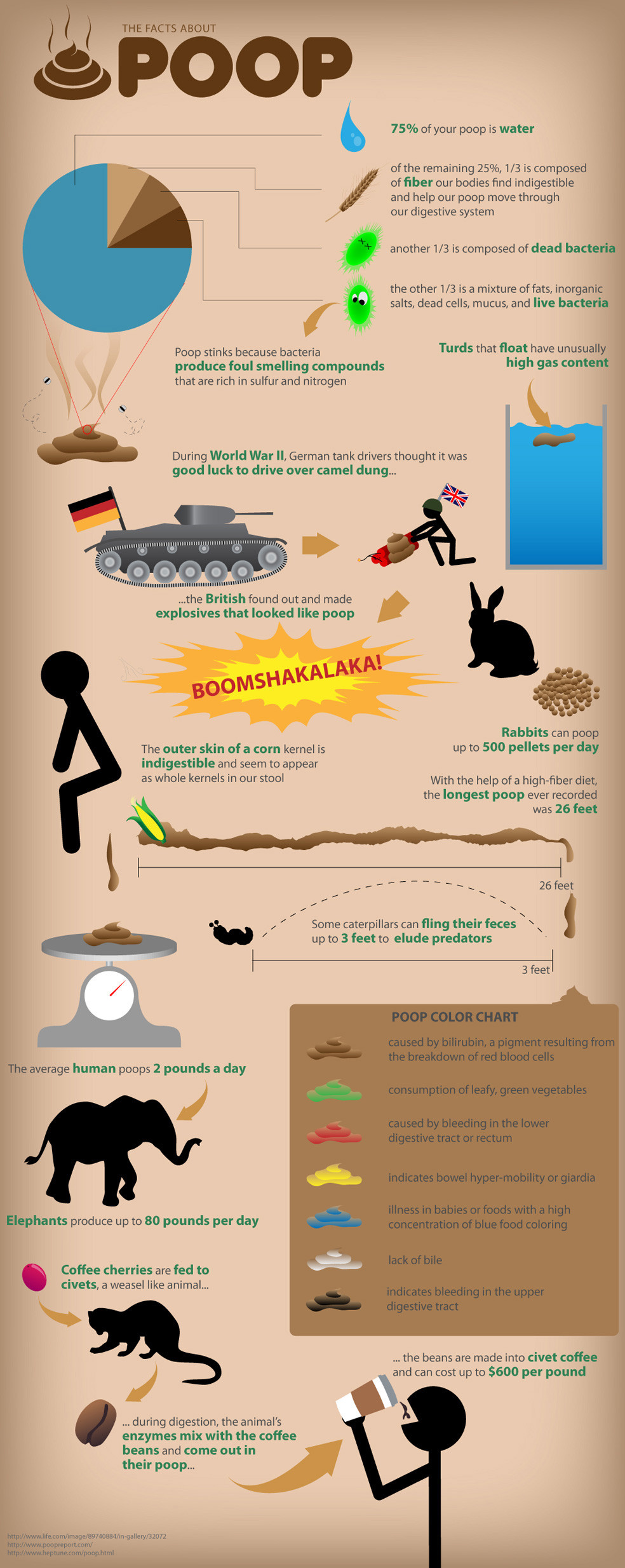 Fun facts about poop. 