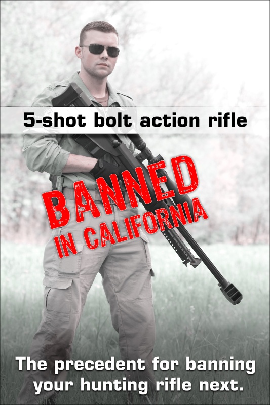There's all this talk about how .50 caliber rifles are so dangerous and evil, some states have even banned them. Nevermind the fact that during the Civil War we used .58 caliber rifles and during the revolutionary war we used .69 caliber muskets. Once we let them ban one kind of gun they will keep trying until they ban them all.
Not even your gran