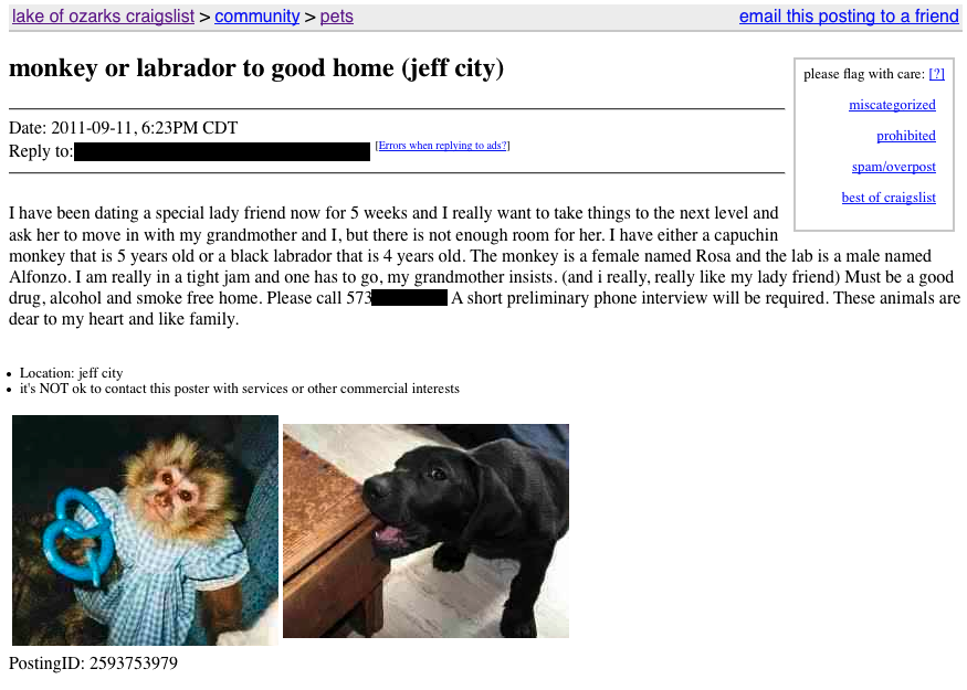 web page - lake of ozarks craigslist > community > pets email this posting to a friend monkey or labrador to good home jeff city please flag with care 21 miscategorized Date , Pm Cdt to prohibited Errors when ads? Spamoverpost best of craigslist I have be