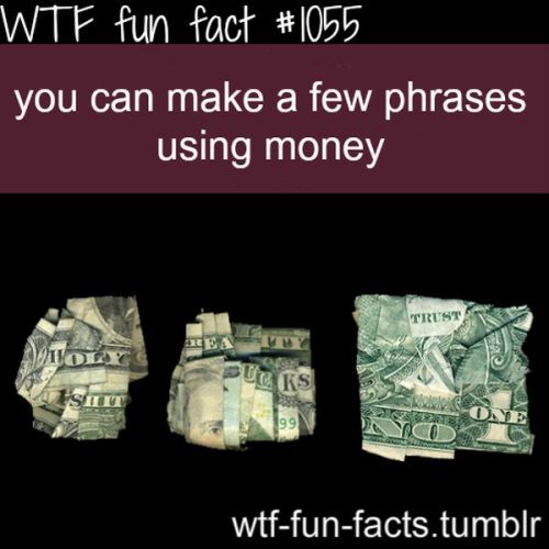 WTF Facts