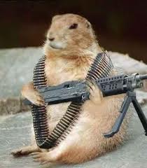 Damn groundhogs