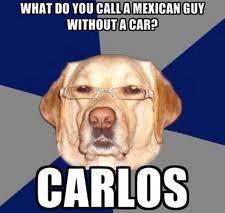 racist dog meme - What Do You Call A Mexican Guy Without A Car? Carlos