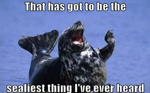 terrible puns - That has got to be the sealiest thing I've ever heard