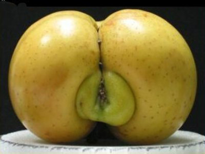 funny vegetables sexy