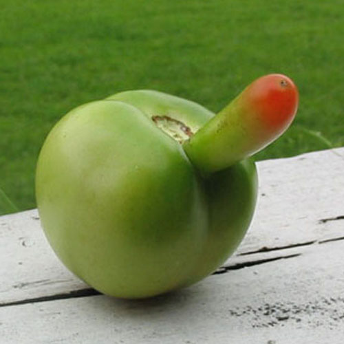 19 Fruits And Vegetables That Look Like Sexy Body Parts Gallery Ebaums World