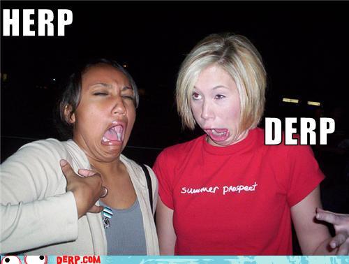 Herp Herp Herpa Derp