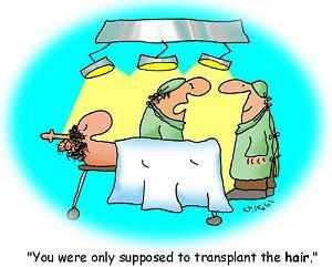 hair transplant jokes - "You were only supposed to transplant the hair."