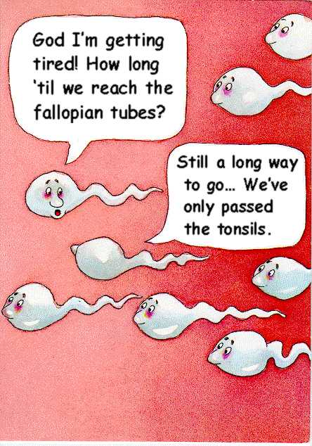 sperm joke - God I'm getting tired! How long 'til we reach the fallopian tubes? Still a long way to go... We've only passed the tonsils.