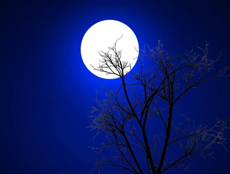 night sky moon