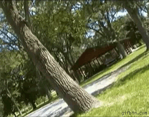 gifs - man tries to walk up a tree and falls