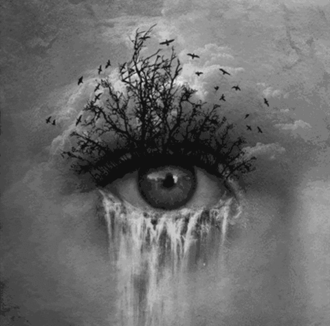 gifs - eye with trees and water art