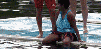 gifs - dolphin goes on top of a person