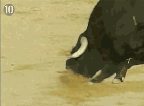 gifs - bull almost hits a person