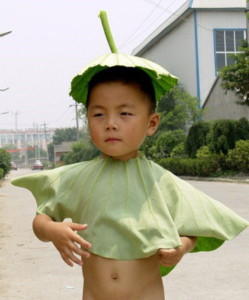 lettuce costume