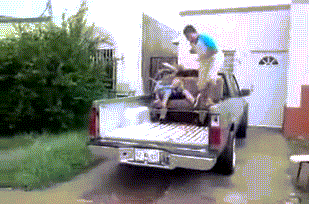 falling off a truck gif