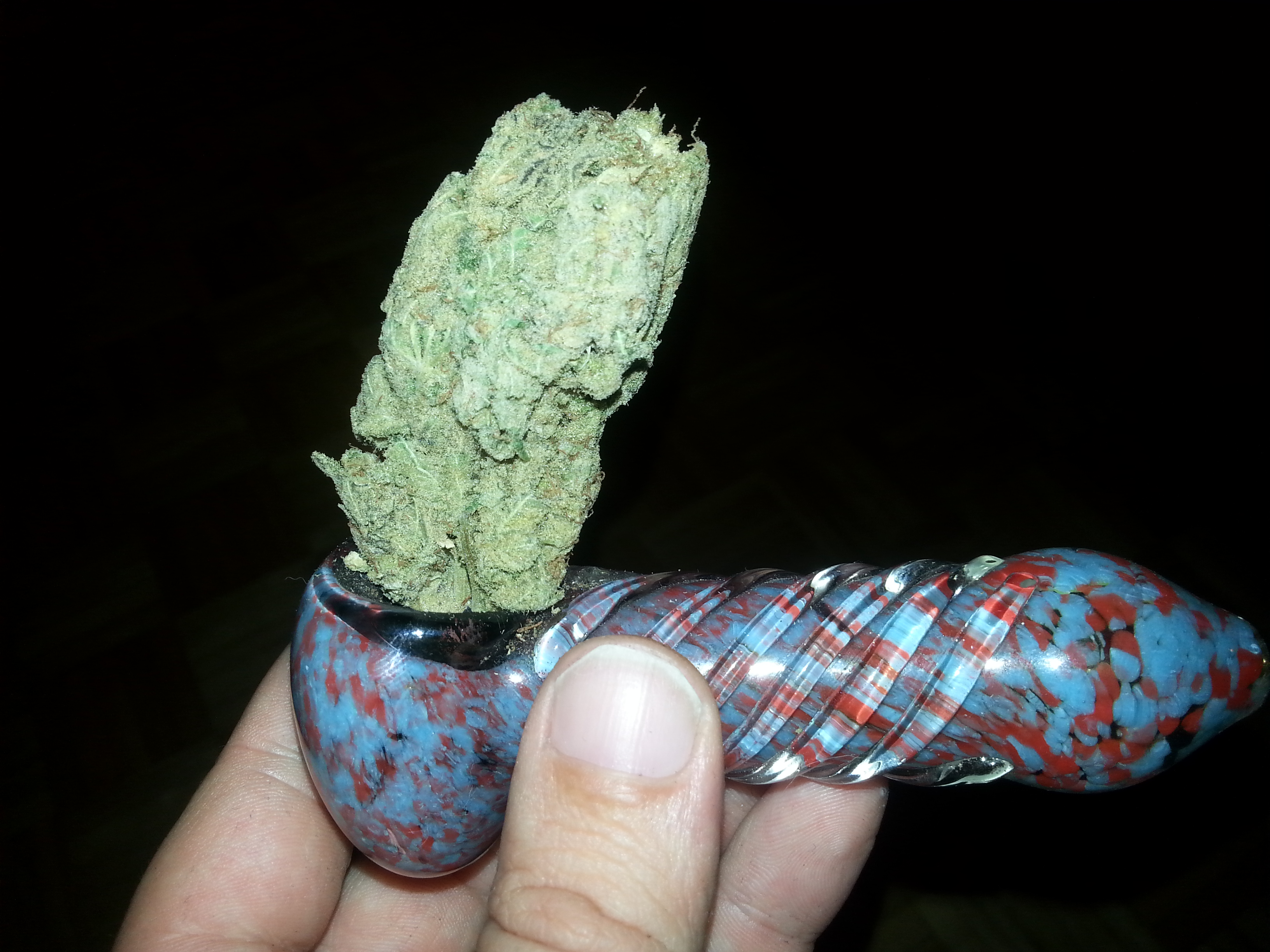 This buds for you!