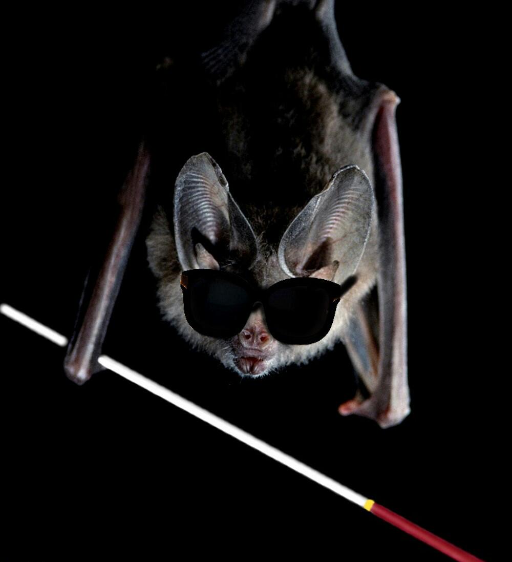 Contrary to popular belief, bats are not blind. They pretend to be so they are able to claim disability allowance