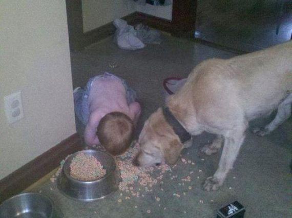 kids eating dog food